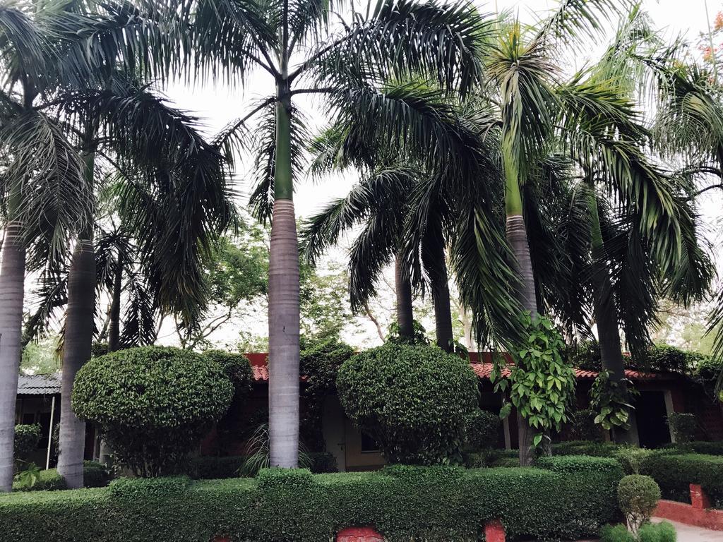 Hotel Sheela, 100M From Taj Mahal Agra  Luaran gambar